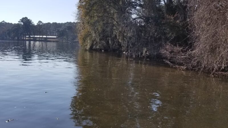 Sneads Park - Sneads, FL