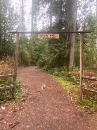 Mystery Dog - Snohomish, WA