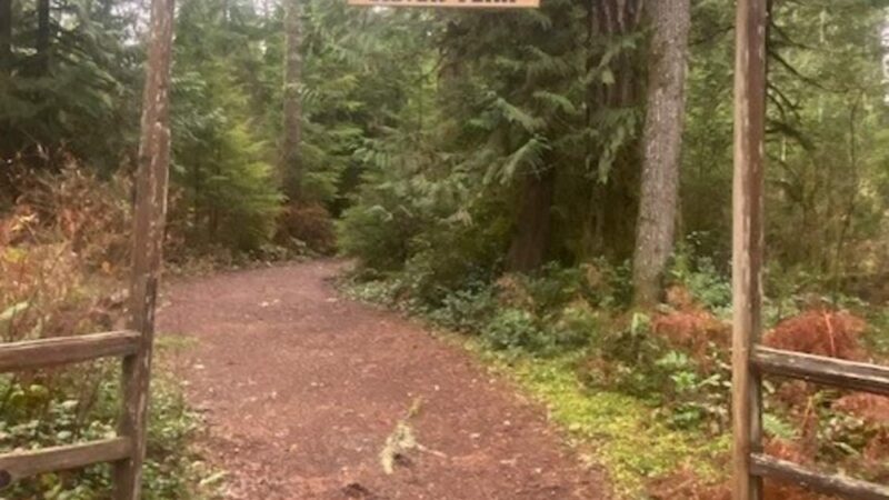 Mystery Dog - Snohomish, WA