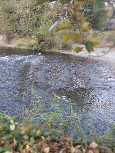 American Legion Park Snohomish - Snohomish, WA