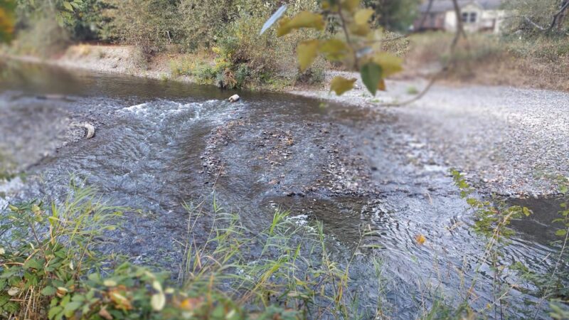 American Legion Park Snohomish - Snohomish, WA