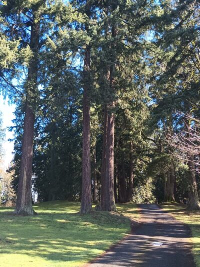 Ferguson Park - Snohomish, WA