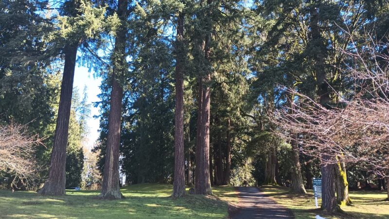 Ferguson Park - Snohomish, WA