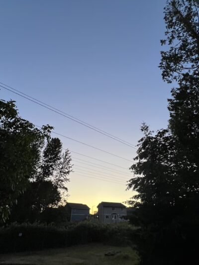 Hawk Tail Field - Snohomish, WA