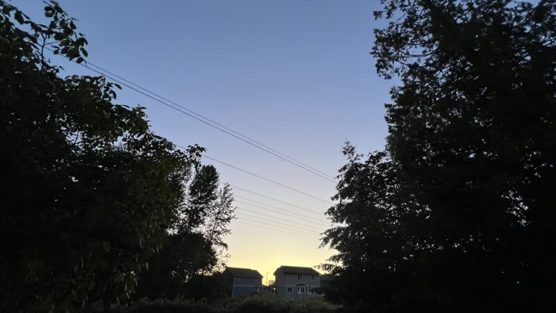 Hawk Tail Field - Snohomish, WA