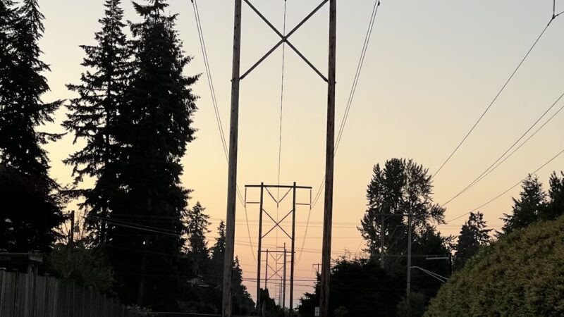 Hawk Tail Field - Snohomish, WA