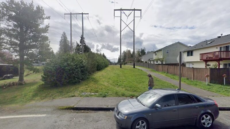 Hawk Tail Field - Snohomish, WA