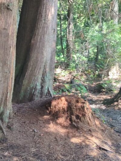 Lord Hill Park - Snohomish, WA