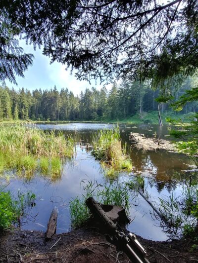 Lord Hill Park - Snohomish, WA