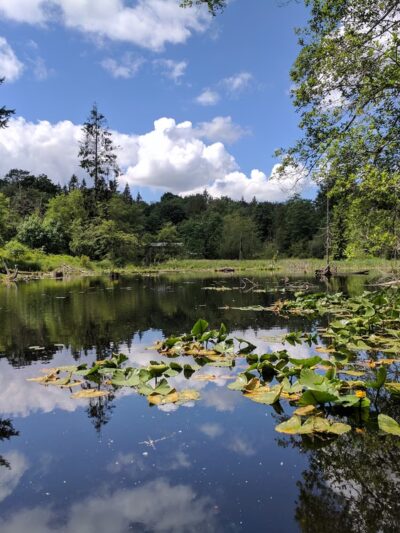 Lord Hill Park - Snohomish, WA