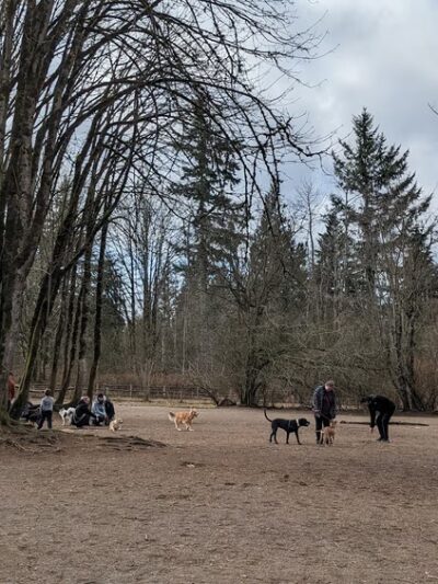 Willis Tucker Off-Leash Dog Area - Snohomish, WA