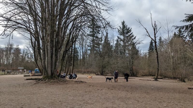 Willis Tucker Off-Leash Dog Area - Snohomish, WA