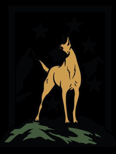 Social Companion Canine - ,