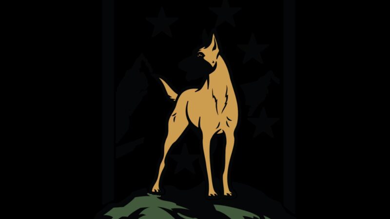 Social Companion Canine - ,