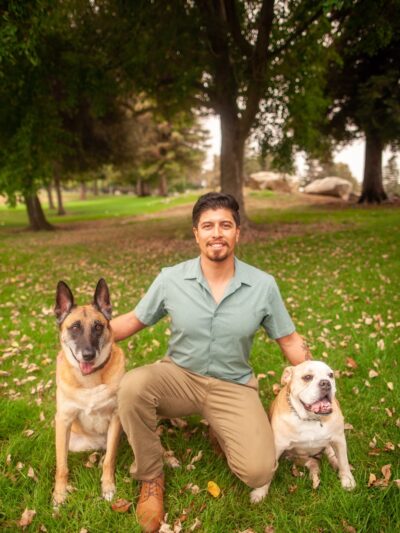 Social Companion Canine - ,