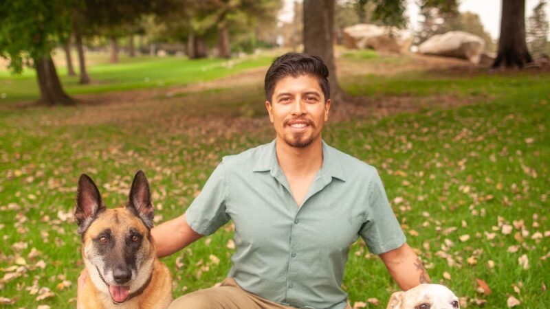 Social Companion Canine - ,