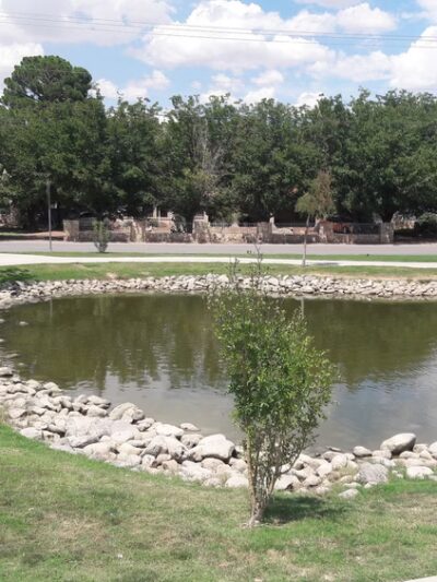 Bulldog Championship Park - Socorro, TX