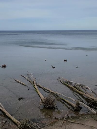 Beechwood SP - Sodus, NY