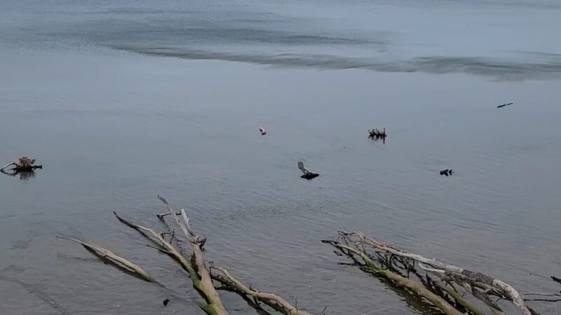 Beechwood SP - Sodus, NY