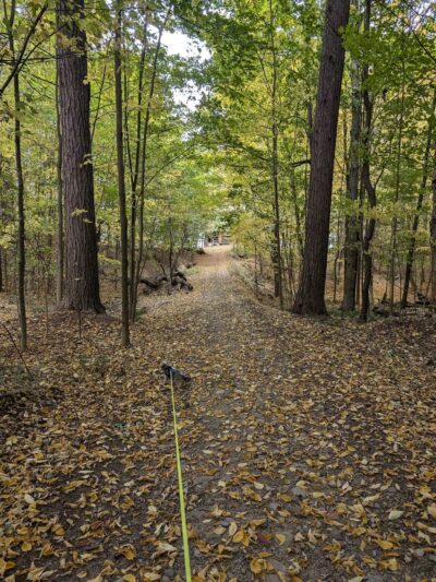 Beechwood SP - Sodus, NY