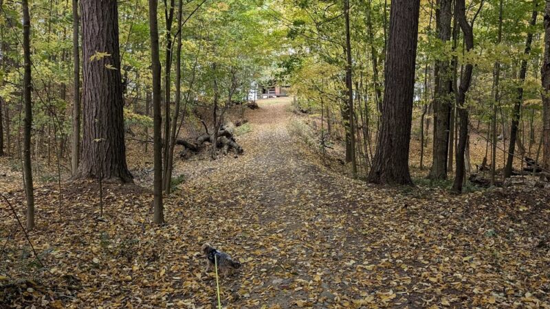 Beechwood SP - Sodus, NY