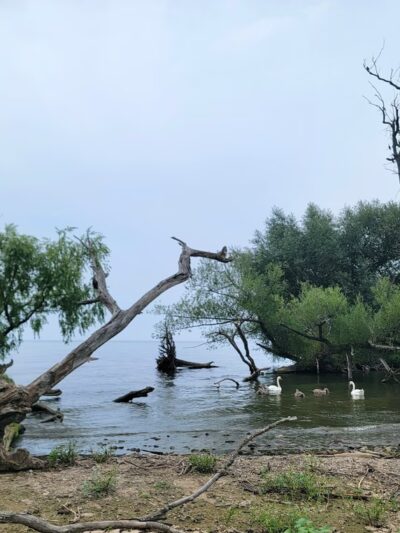 Beechwood SP - Sodus, NY