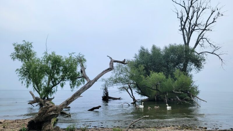 Beechwood SP - Sodus, NY