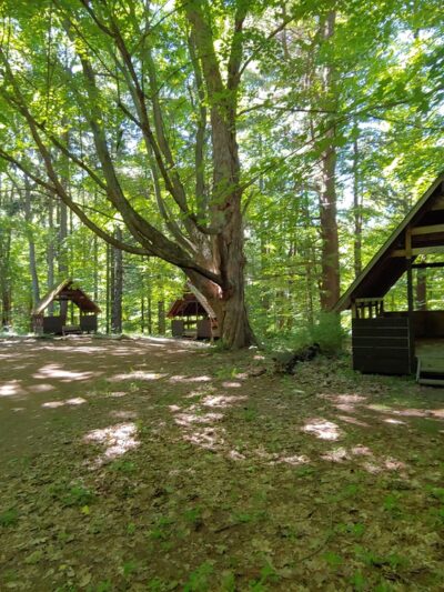 Parking for Beechwood State Park - Sodus, NY