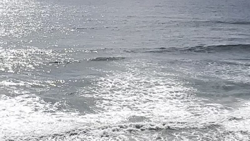 Del Mar Shores Stairway to Solana Beach - Solana Beach, CA