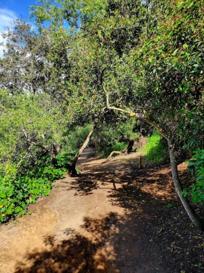 Gemma Parks Interpretive Trail - Solana Beach, CA