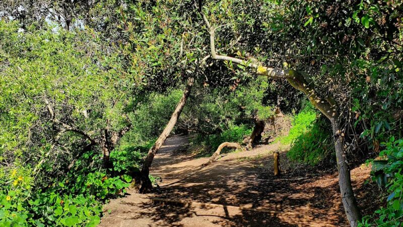 Gemma Parks Interpretive Trail - Solana Beach, CA
