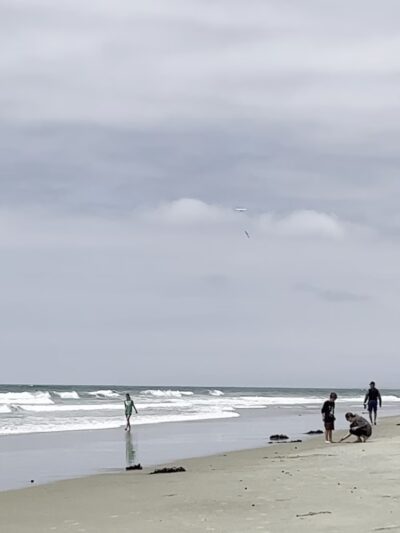 Solana Beach County Park - Solana Beach, CA