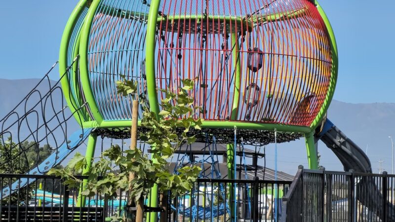 Orchard Lane Park - Soledad, CA