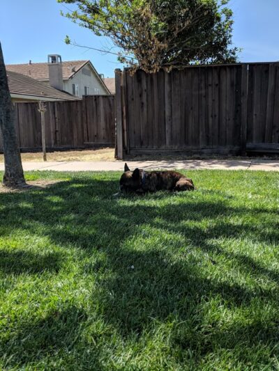 San Antonio Park - Soledad, CA