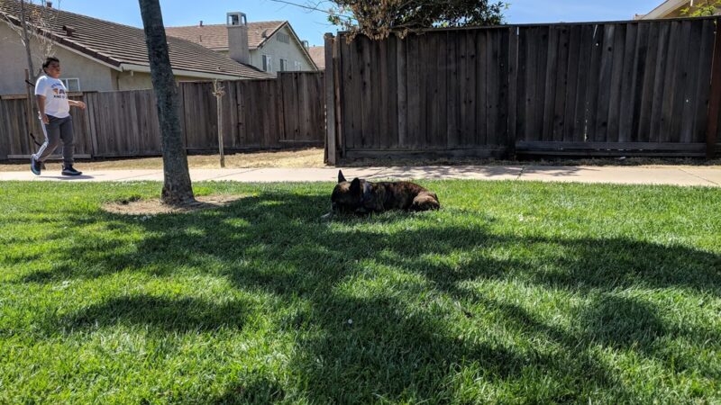 San Antonio Park - Soledad, CA