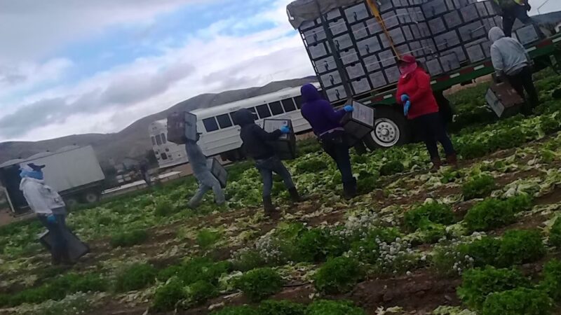 Veterans Memorial Park - Soledad, CA