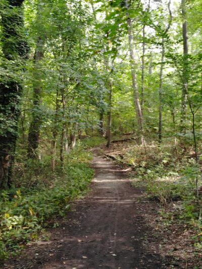 Nature Trail Park - Somerdale, NJ