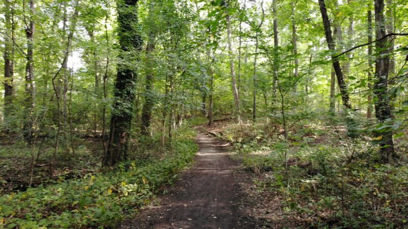 Nature Trail Park - Somerdale, NJ
