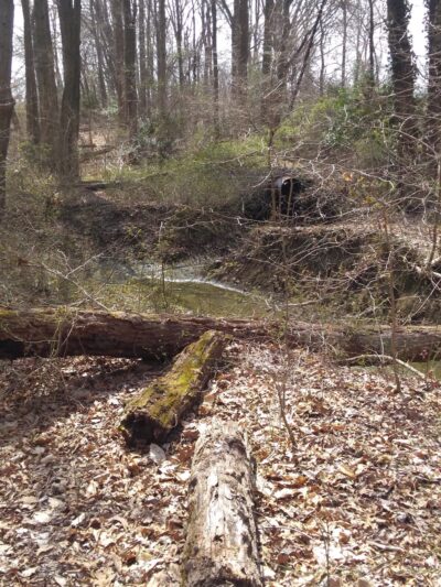 Nature Trail Park - Somerdale, NJ