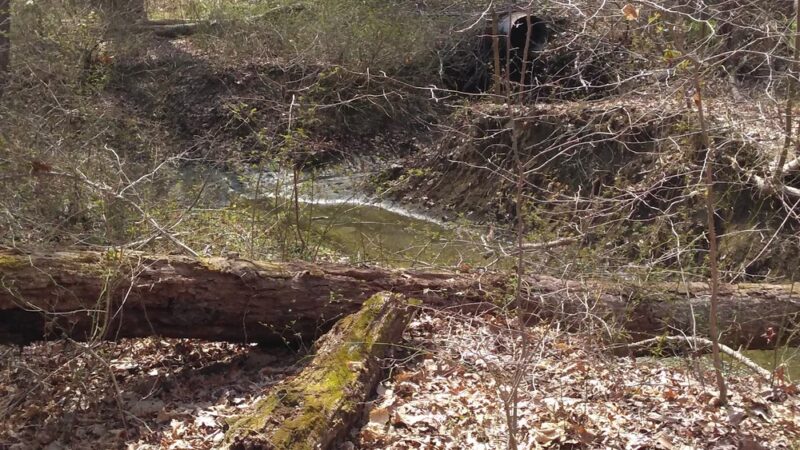 Nature Trail Park - Somerdale, NJ