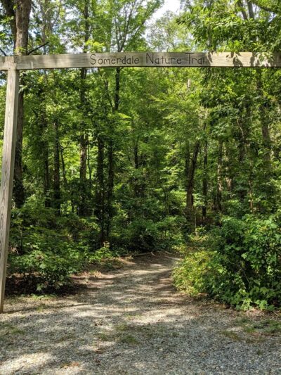 Nature Trail Park - Somerdale, NJ