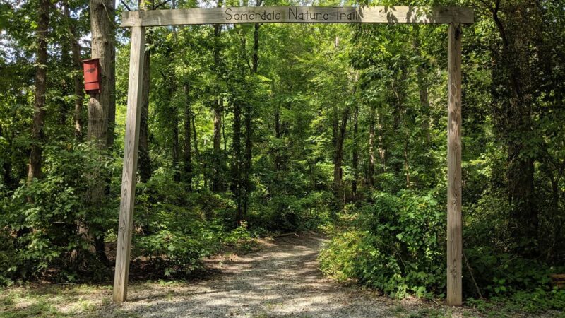 Nature Trail Park - Somerdale, NJ