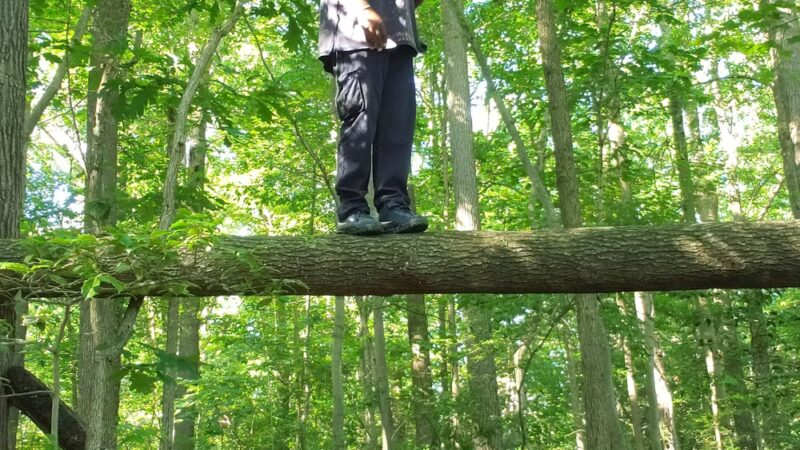 Nature Trail Park - Somerdale, NJ