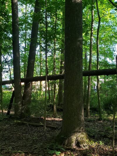 Nature Trail Park - Somerdale, NJ
