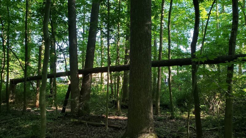 Nature Trail Park - Somerdale, NJ