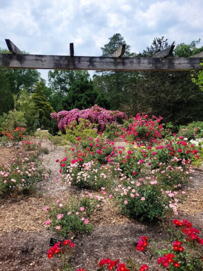 Colonial Park Gardens - Somerset, NJ