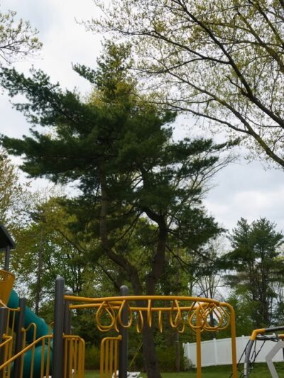 Nassau Park - Somerset, NJ