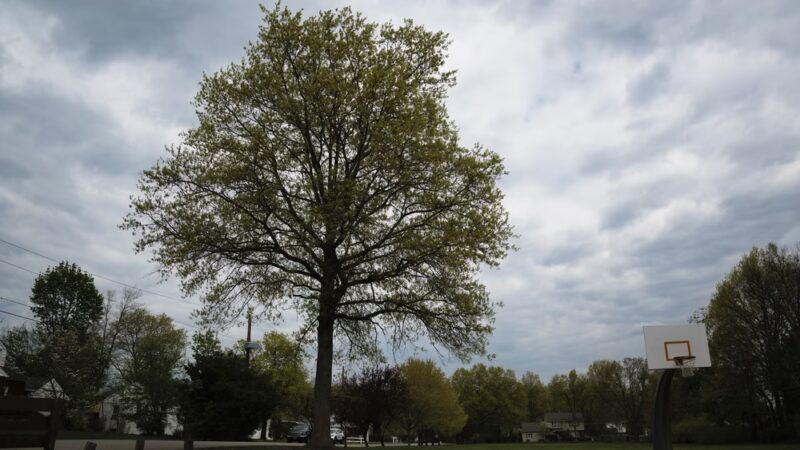 Nassau Park - Somerset, NJ