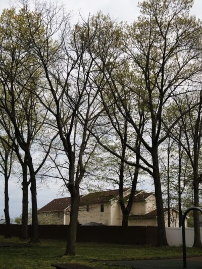 Nassau Park - Somerset, NJ