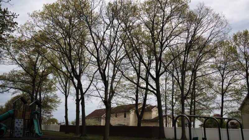 Nassau Park - Somerset, NJ